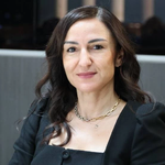 Jale Refik Rogers: Denetimsizlik yükseköğretim ve sağlık turizmini riske atıyor