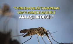 Bio-Der, Sağlık Bakanlığı’nın sivrisinek mücadelesi için çıktığı ilaç ihalesini eleştirdi