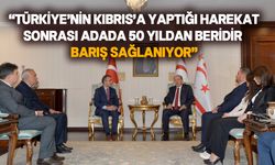 Ersin Tatar, EkoAvrasya Vakfı’nı kabul etti