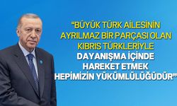 Erdoğan, TDT’nin müteakip zirvesinde KKTC'yi gözlemci üye olarak aralarında göreceklerine inandığını kaydetti