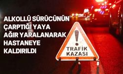 Alkollü sürücü Girne'de kaza yaptı
