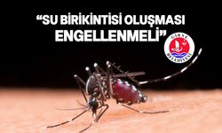 Girne Belediyesi, Asya Kaplan Sivrisineği ile ilgili ilaçlamaların devam ettiğini bildirdi