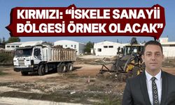 İEZB, İskele Küçük Sanayi Sitesi’ndeki genel temizlik çalışmalarına başladı