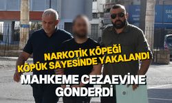 Ercan'da yakalanan zanlıya tutuklu yargılama kararı verildi!