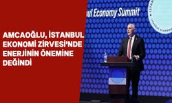 Amcaoğlu, İstanbul ekonomi zirvesi'ne katıldı