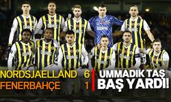 Fenerbahçe Danimarka'dan hezimetle geldi!