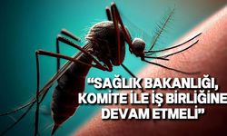 KTTB, sineklerle mücadelede ilaç kullanımı konusunda uyardı