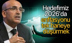 Türkiye'de bütçe görüşmelerinde Mehmet Şimşek'ten önemli açıklamalar!