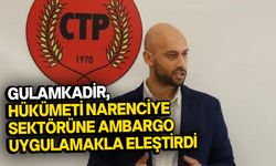 CTP Güzelyurt İlçe Başkanı Gulamkadir'den hükümete eleştiri!