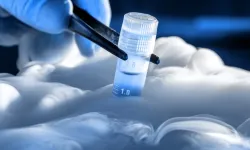 ABD'de bir mahkeme dondurulmuş embriyoların "çocuk" sayılması gerektiğine hükmetti
