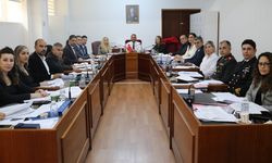 Meclis İdari, Kamu ve Sağlık İşleri Komitesi toplandı