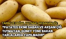 Tarım Bakanlığından patates üreticilerine tavsiyeler…