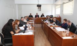 Meclis Komitesinde “Muhasebe ve Denetim Meslek Yasa Tasarısı” ele alındı