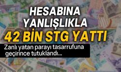 Girne'de banka hesabına yanlışlıkla yatırılan parayı çalan şahıs tutuklandı