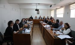 Hukuk, Siyasi İşler ve Dışilişkiler Komitesi toplandı