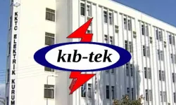 Geçitkale Trafo Merkezi'nde yılan kısa devreye neden oldu!