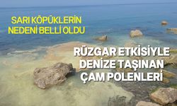 Çevre ve Koruma Dairesi'nden İskele ve Girne kıyılarında görülen sarı renkteki köpükler hakkında açıklama