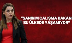 CTP Milletvekili Kürşat, Bakan Gardiyanoğlu'nun asgari ücret açıklamalarını eleştirdi