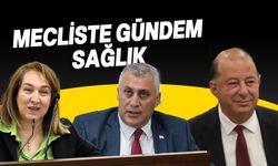 Filiz Besim, Olgun Amcaoğlu ve Hakan Dinçyürek mecliste sağlığı tartıştı!