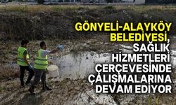 Gönyeli-Alayköy Belediyesi sivrisinek ve haşere ile "üç koldan" mücadele ediyor