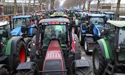 Hollanda çiftçilerinden Brüksel’de protesto