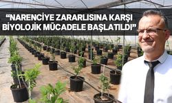 Tarımsal Araştırma Enstitüsü Müdürü Karaca, Asya turunçgil psillidine karşı yürütülen çalışmalardan bahsetti