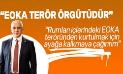 Taçoy, “EOKA, toplu katliamlar yapmış, Türklere karşı soykırıma kalkışmış bir terör örgütüdür.”