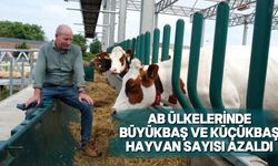 Rakamlar her yıl geriye gidiyor