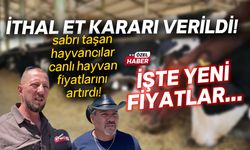 Karar yürürlüğe girdi, hayvancıların sabrı taştı! Tüm fiyatları değiştirdiler...