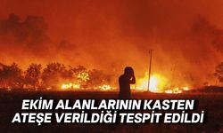 Kılıçarslan-Kozanköy yolu'nda yangın