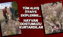 Kuyudaki köpeği İtfaiye ekipleri kurtardı