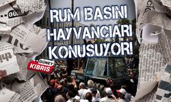 Rum basını, kuzeydeki hayvancıların eylemini konuşuyor!