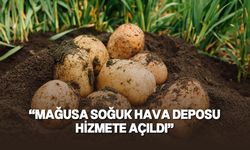 TÜK’ten patates üreticilerine duyuru