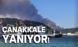 Çanakkale'de ormana sıçrayan anız yangınına müdahale sürüyor