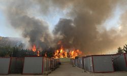 Gaziantep'te ormanlık alanda çıkan yangın barınma merkezine sıçradı