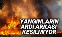 Girne-Lefkoşa Anayolu, Alayköy ve Ercan Havalimanı'nda yangın