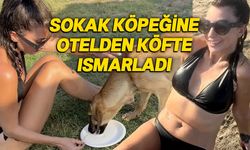 Hande Yener, plajda vatandaşların arasına sokarak, köpekle denize girdi