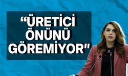 Kürşat:" Tohumluktaki sıkıntılardan ötürü verim kaybı yaşanıyor"