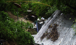 El Salvador'da şiddetli yağışların yol açtığı sellerde 5 kişi öldü