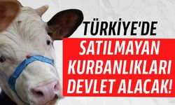 "Satılamayan kurbanlıklar, ESK tarafından satın alınacak"