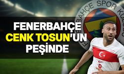 Cenk Tosun, Fenerbahçe ile anlaştı