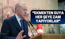 Erdoğan’dan muhalefete zam eleştirisi
