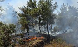 Hatay'da çıkan orman yangınına müdahale ediliyor