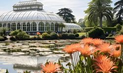 İngiltere'deki botanik bahçesi Kew Gardens'ın yarısı iklim değişikliği nedeniyle risk altında