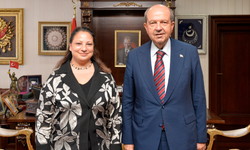 Cumhurbaşkanı Tatar, yeni atanan temsilcileri kabul etti