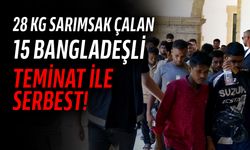 Sarımsak çaldılar, teminatla serbest kaldılar!