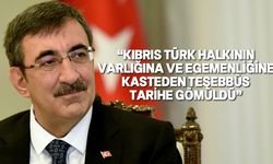 TC Cumhurbaşkanı Yardımcısı Yılmaz, 1974 Barış Harekatı’nın Kıbrıs adasına barış getirdiğini vurguladı