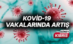 Viral hastalıklar ve Kovid-19 vakalarında artış