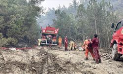 Bolu'da orman yangınına 71 saattir müdahale ediliyor