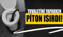 Evinde tuvaletini yaparken 3,5 metrelik pitonun saldırısına uğradı